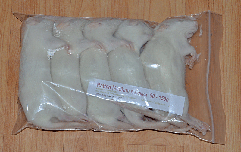 Ratto Medio B 90-150g Cibo Congelato per Rettili