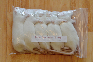 Ratti piccolo 30-60g congelati Cibo Congelato per Rettili e Rapaci
